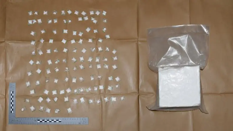 Assorted small sealed plastic bags containing a white crystalline substance scattered on brown paper, with a gray vacuum-sealed bag and a white pad nearby for scale and evidence.